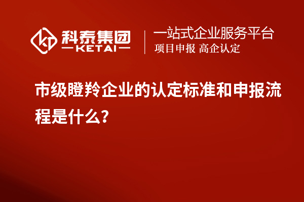 市級瞪羚企業的認定標準和申報流程是什么？