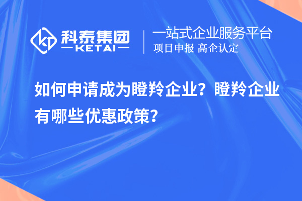 如何申請成為瞪羚企業？瞪羚企業有哪些優惠政策？