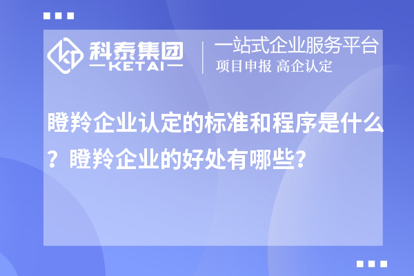 瞪羚企業認定的標準和程序是什么？瞪羚企業的好處有哪些？