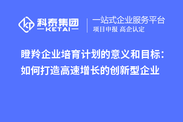 瞪羚企業培育計劃的意義和目標：如何打造高速增長的創新型企業