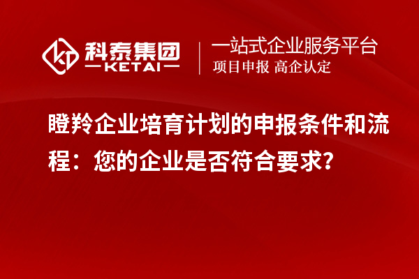 瞪羚企業培育計劃的申報條件和流程：您的企業是否符合要求？