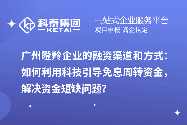 廣州瞪羚企業的融資渠道和方式：如何利用科技引導免息周轉資金，解決資金短缺問題？