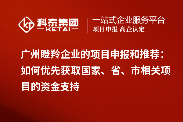 廣州瞪羚企業的項目申報和推薦：如何優先獲取國家、省、市相關項目的資金支持