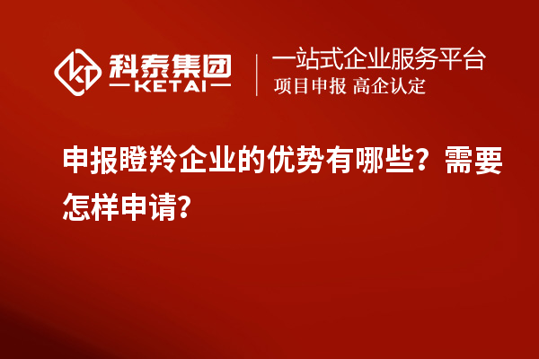 申報瞪羚企業的優勢有哪些？需要怎樣申請？