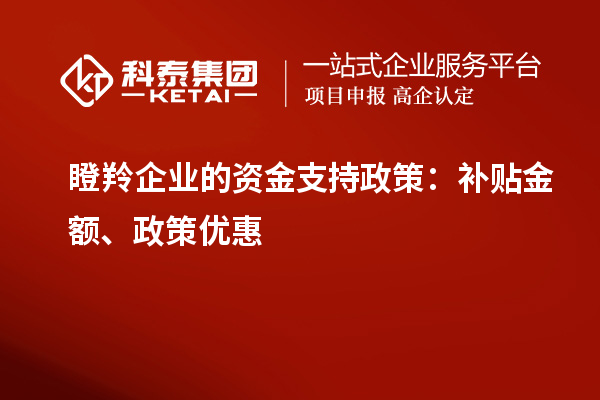 瞪羚企業的資金支持政策：補貼金額、政策優惠