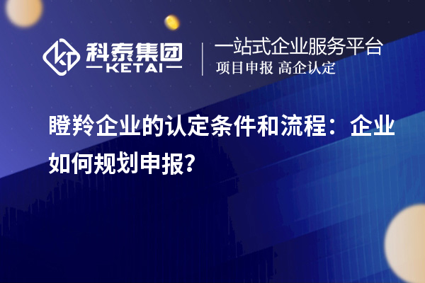 瞪羚企業的認定條件和流程：企業如何規劃申報？