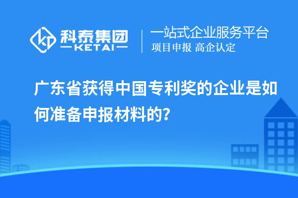 廣東省獲得中國專利獎的企業是如何準備申報材料的？