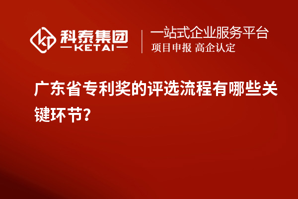 廣東省專利獎的評選流程有哪些關鍵環節？