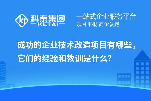 成功的企業技術改造項目有哪些，它們的經驗和教訓是什么？