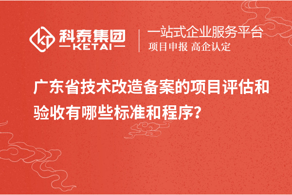 廣東省技術改造備案的項目評估和驗收有哪些標準和程序？