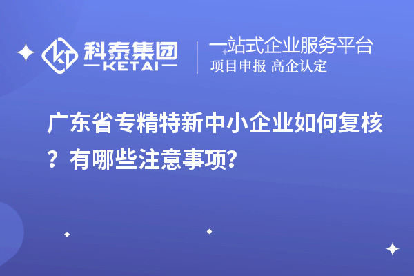 廣東省專精特新中小企業如何復核？有哪些注意事項？