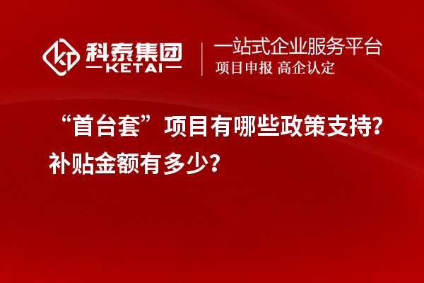 “首臺套”項目有哪些政策支持？補貼金額有多少？