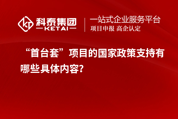 “首臺套”項目的國家政策支持有哪些具體內容？