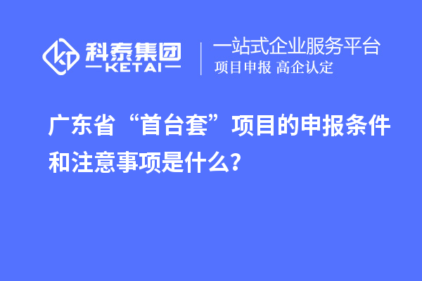 廣東省“首臺套”項目的申報條件和注意事項是什么？