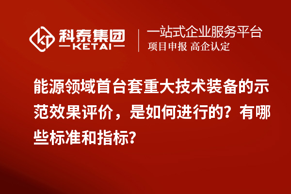 能源領(lǐng)域首臺套重大技術(shù)裝備的示范效果評價，是如何進行的？有哪些標準和指標？