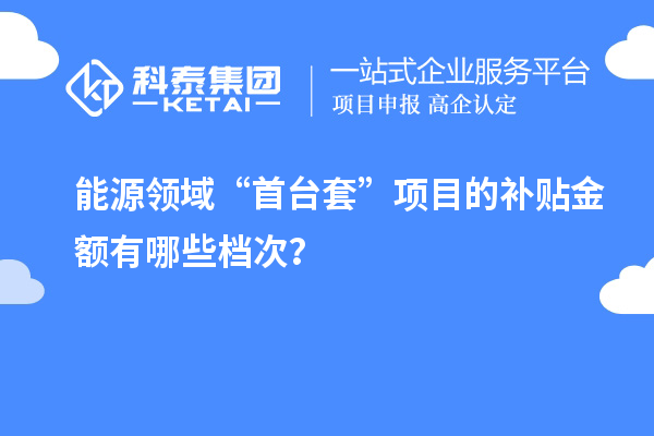 能源領(lǐng)域“首臺套”項目的補貼金額有哪些檔次？