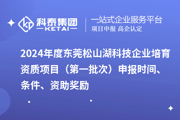 2024年度東莞松山湖科技企業培育資質項目（第一批次）申報時間、條件、資助獎勵