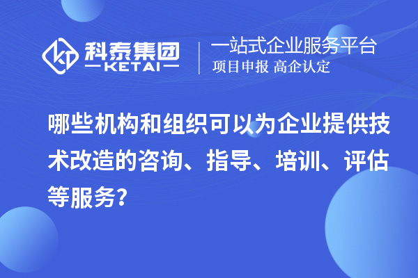 哪些機構和組織可以為企業提供技術改造的咨詢、指導、培訓、評估等服務？