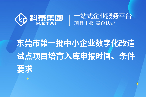 東莞市第一批中小企業(yè)數(shù)字化改造試點(diǎn)項目培育入庫申報時間、條件要求