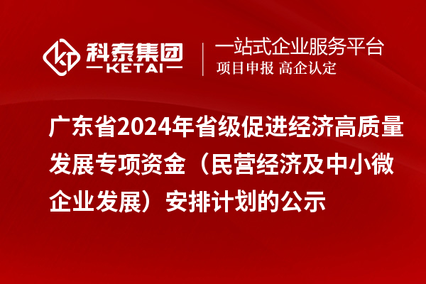 廣東省2024年省級促進經濟高質量發展專項資金（民營經濟及中小微企業發展）安排計劃的公示