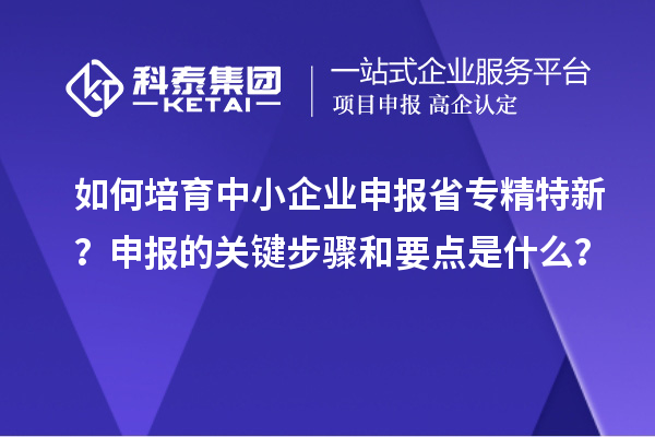 如何培育中小企業申報省專精特新？申報的關鍵步驟和要點是什么？