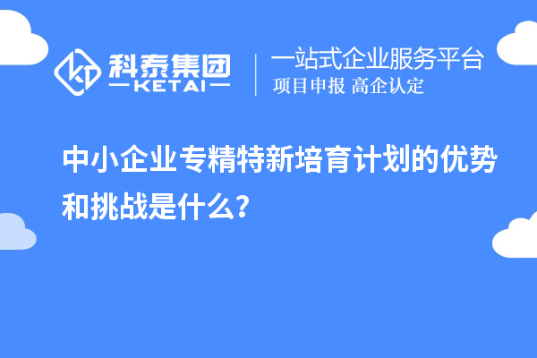 中小企業專精特新培育計劃的優勢和挑戰是什么？