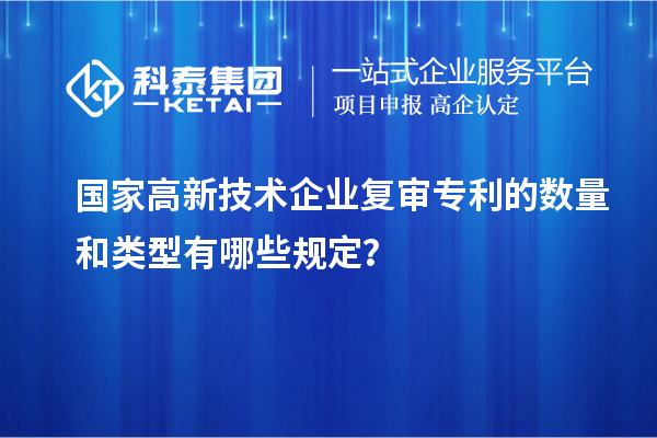 國家高新技術企業復審專利的數量和類型有哪些規定？