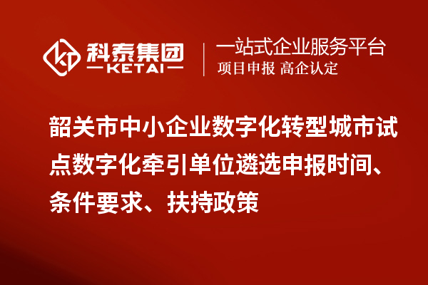 韶關市中小企業數字化轉型城市試點數字化牽引單位遴選申報時間、條件要求、扶持政策