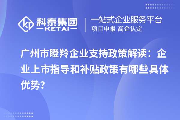 廣州市瞪羚企業支持政策解讀：企業上市指導和補貼政策有哪些具體優勢？