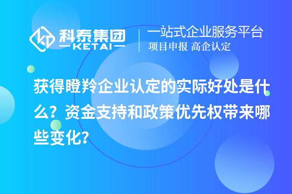 獲得瞪羚企業認定的實際好處是什么？資金支持和政策優先權帶來哪些變化？