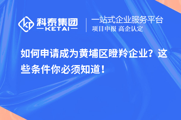 如何申請成為黃埔區瞪羚企業？這些條件你必須知道！