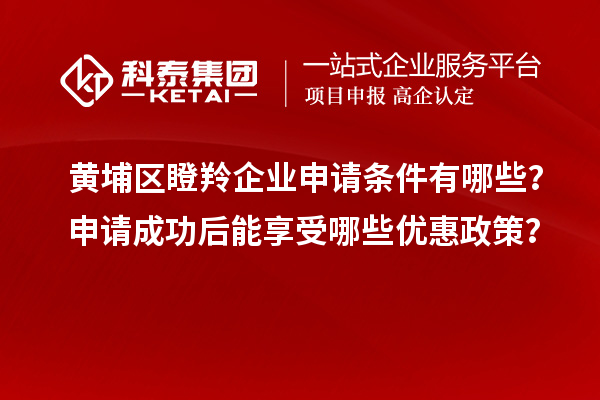 黃埔區瞪羚企業申請條件有哪些？申請成功后能享受哪些優惠政策？