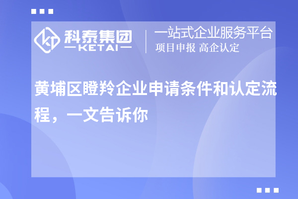 黃埔區瞪羚企業申請條件和認定流程，一文告訴你