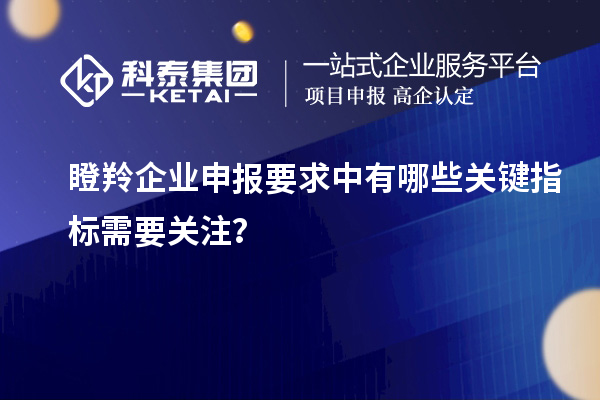 瞪羚企業申報要求中有哪些關鍵指標需要關注？