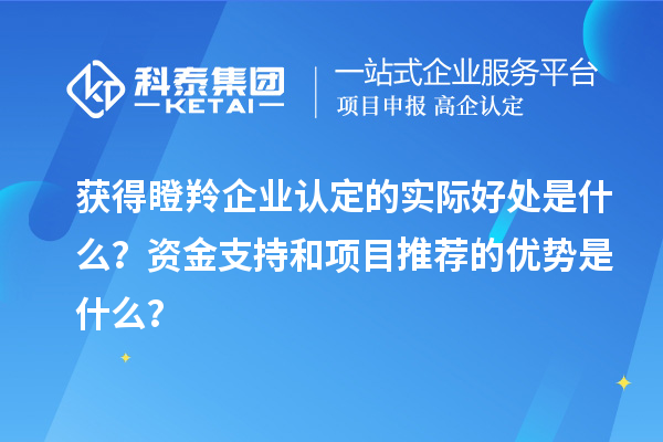 獲得瞪羚企業認定的實際好處是什么？資金支持和項目推薦的優勢是什么？