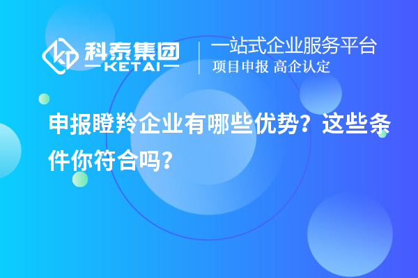 申報瞪羚企業有哪些優勢？這些條件你符合嗎？