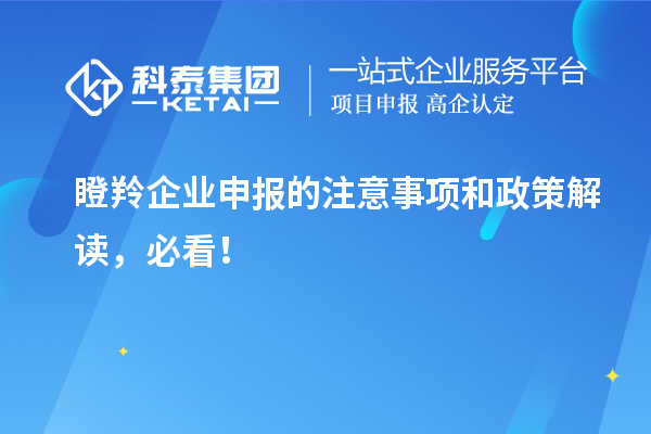 瞪羚企業申報的注意事項和政策解讀，必看！