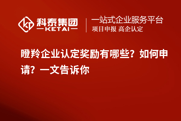 瞪羚企業認定獎勵有哪些？如何申請？一文告訴你