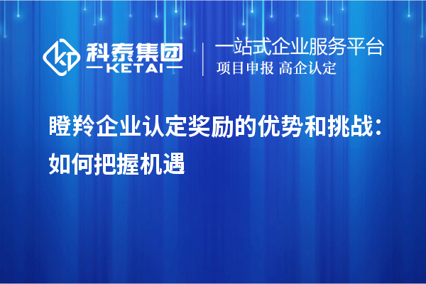 瞪羚企業認定獎勵的優勢和挑戰：如何把握機遇