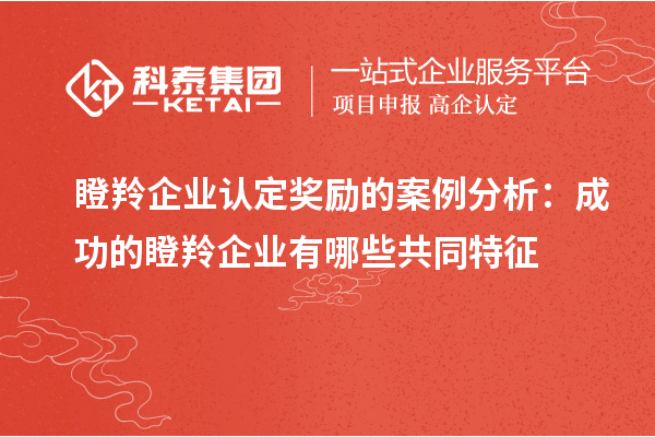 瞪羚企業認定獎勵的案例分析：成功的瞪羚企業有哪些共同特征