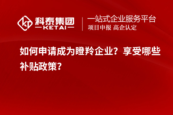 如何申請成為瞪羚企業？享受哪些補貼政策？