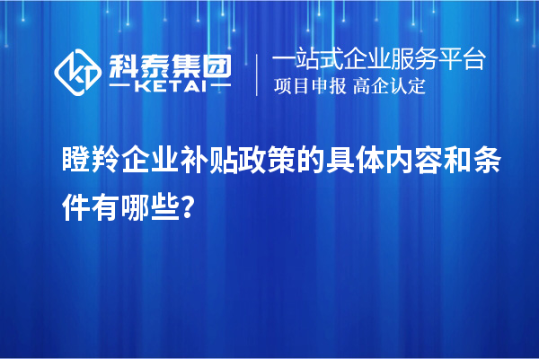 瞪羚企業補貼政策的具體內容和條件有哪些？