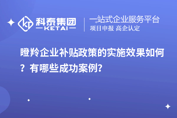 瞪羚企業補貼政策的實施效果如何？有哪些成功案例？