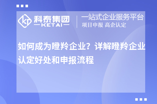 如何成為瞪羚企業？詳解瞪羚企業認定好處和申報流程