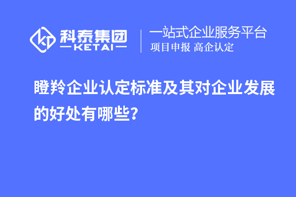 瞪羚企業認定標準及其對企業發展的好處有哪些？