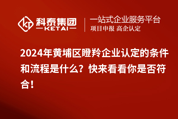 2024年黃埔區瞪羚企業認定的條件和流程是什么？快來看看你是否符合！