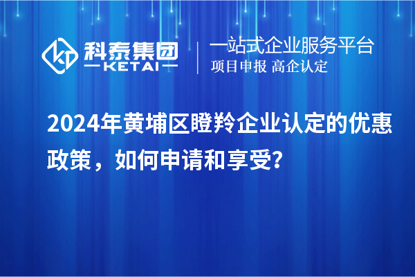 2024年黃埔區瞪羚企業認定的優惠政策，如何申請和享受？