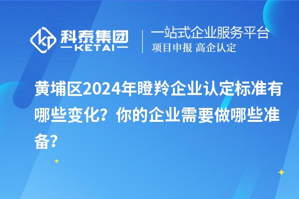 黃埔區2024年瞪羚企業認定標準有哪些變化？你的企業需要做哪些準備？