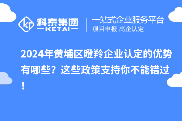 2024年黃埔區瞪羚企業認定的優勢有哪些？這些政策支持你不能錯過！