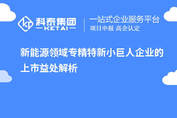 新能源領域專精特新小巨人企業的上市益處解析